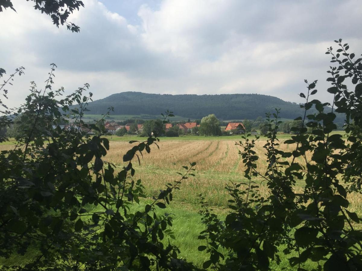 Modern Holiday Home Near River In Amelgatzen Emmerthal Bagian luar foto